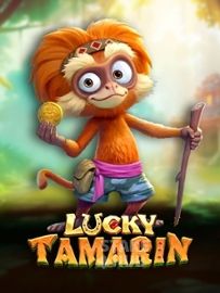 Lucky Tamarin